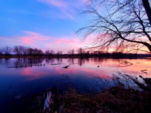 Petrie Island