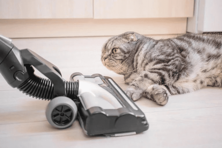 Best Types of Vacuum Cleaners for Allergies and Asthma