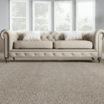 How Much Does Carpet Cleaning Cost in Ottawa