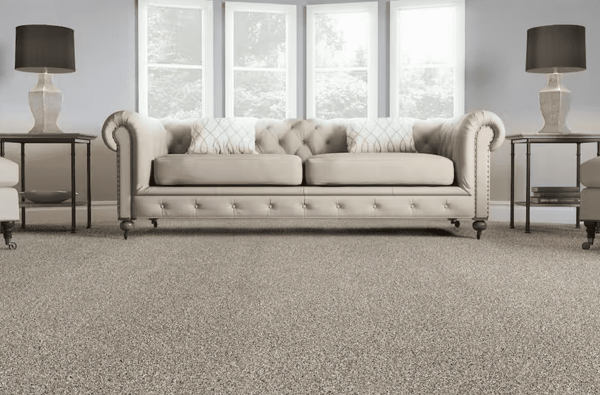 How Much Does Carpet Cleaning Cost in Ottawa? 2024