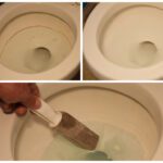 Cleaning a Toilet with a Pumice Stone? Is It Effective?