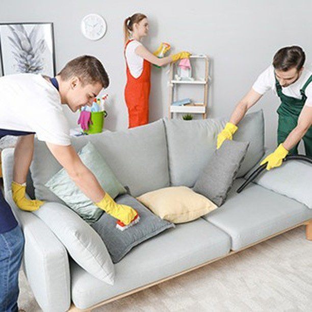 Good Cleaner Co. | Cleaning Service | 428589796 3625901001000406 3382989405944427041 n