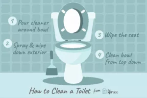 how to clean a toilet tips