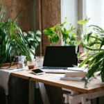 best plants for office