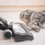 Best Types of Vacuum Cleaners for Allergies