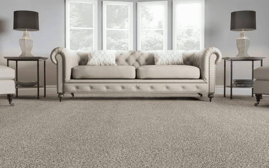 How Much Does Carpet Cleaning Cost in Ottawa