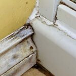 Best Way to Remove Mold in the Bathroom