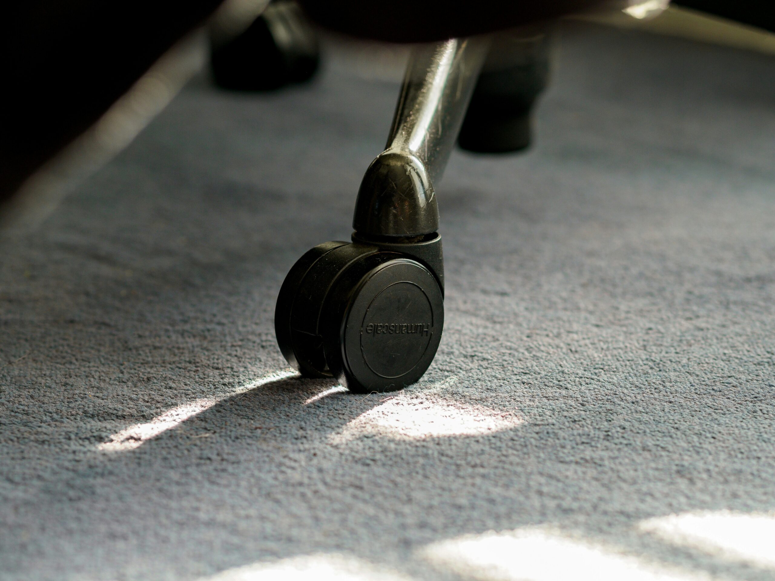 carpet cleaning DIY vs professional