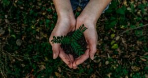 blog - cleaning tips 12 green janitorial services