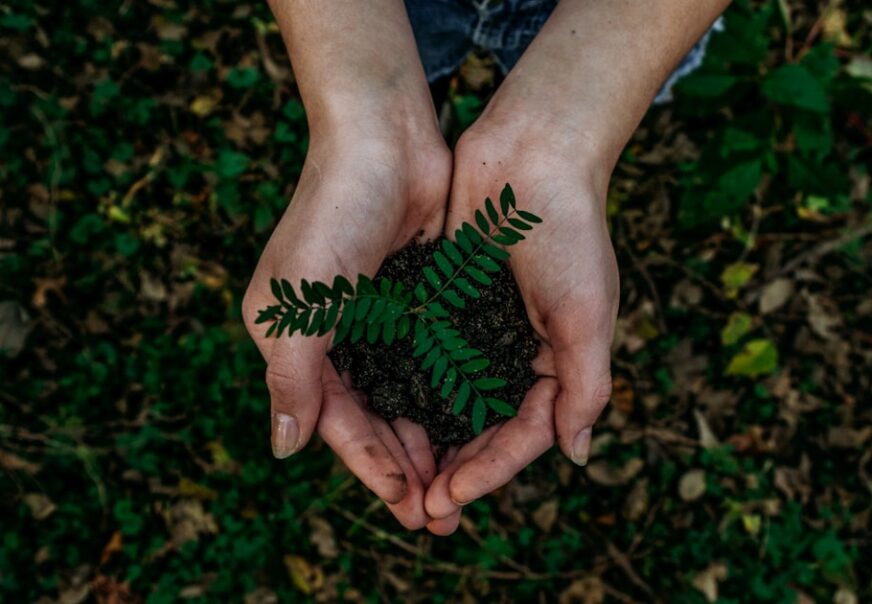 Green Janitorial Services: Sustainable Cleaning for Your Building