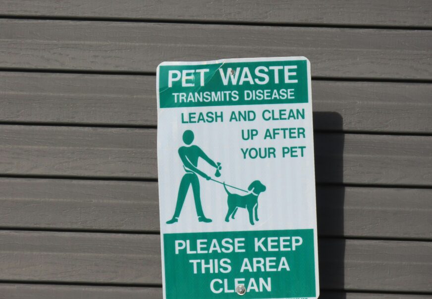 10 Best Pet-Safe Cleaning Products for Canadian Homes (2025 Guide)