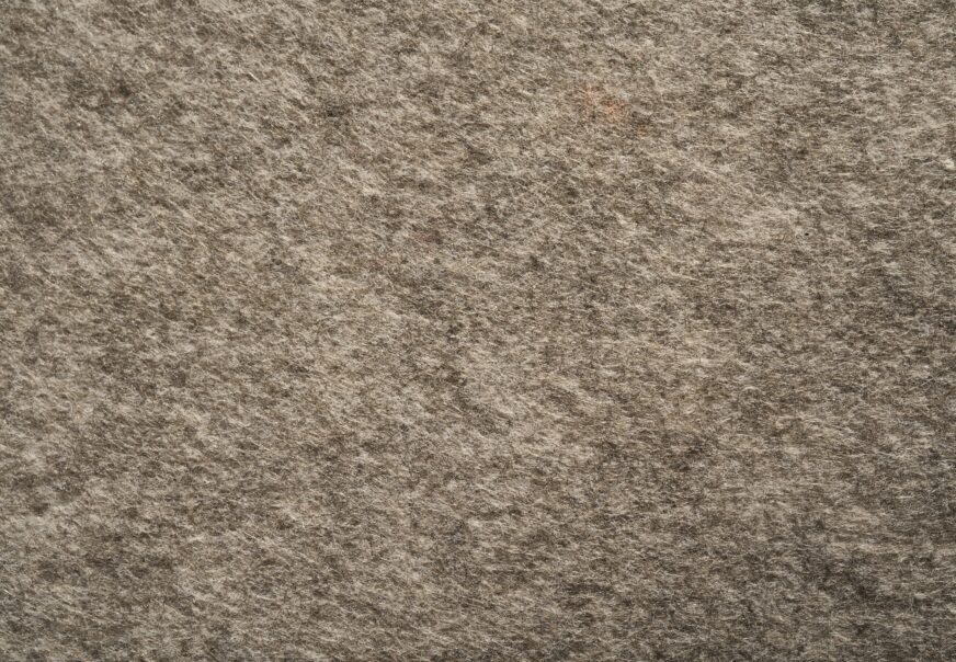 7 Proven Ways to Remove Pet Stains and Odors Completely (2025)