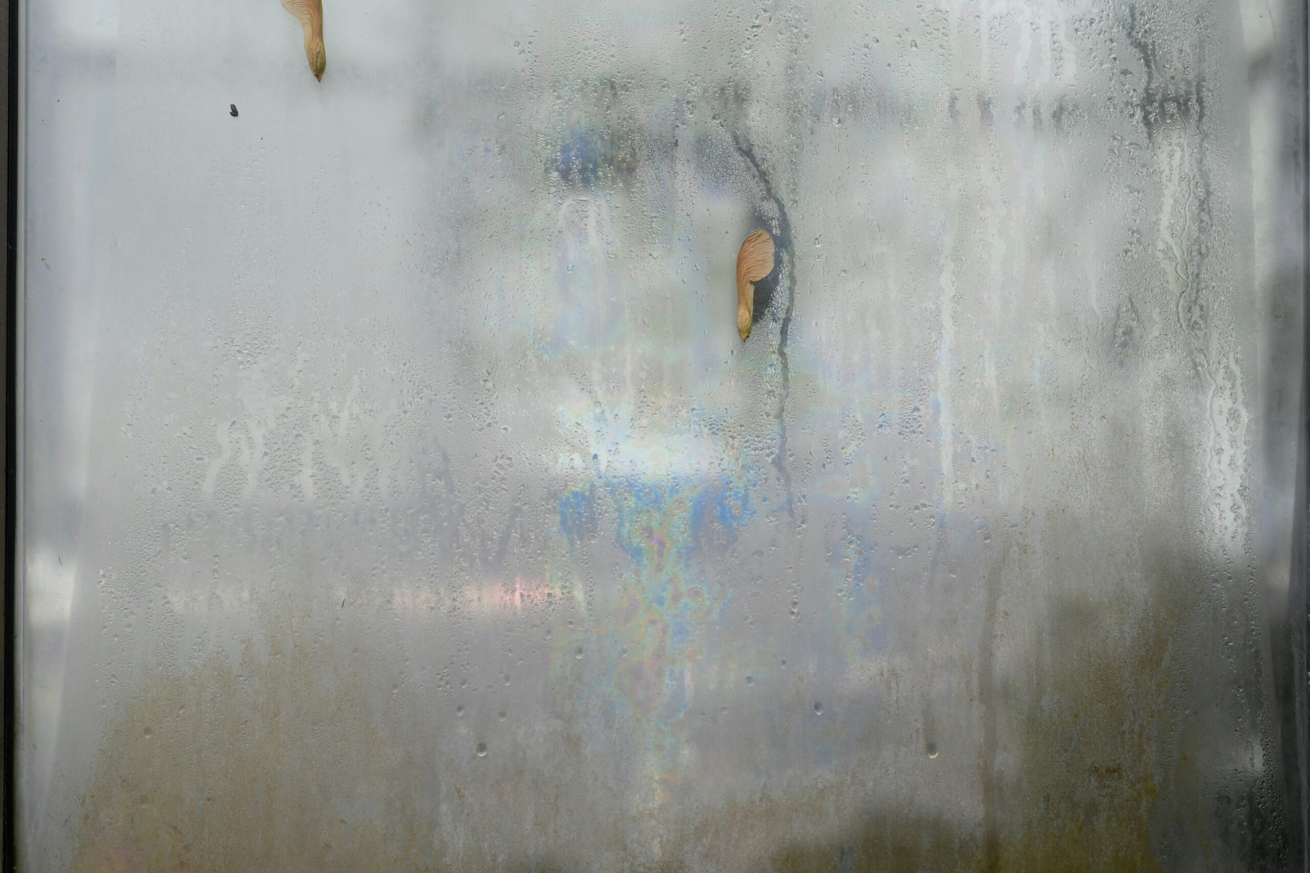 remove hard water stains